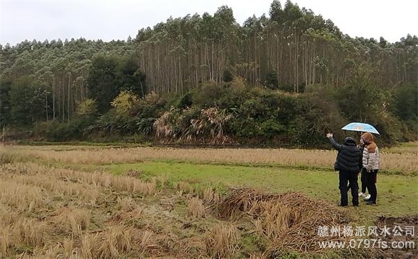 温州市陈老师带着爱徒寻龙点穴